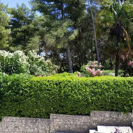Casa vacanze Slavonija Slatine